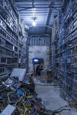 A well-organized mining farm setup