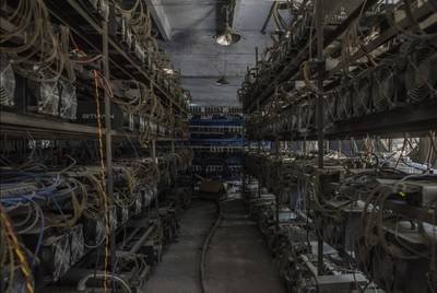 Eco-friendly cryptocurrency mining farm in the Netherlands