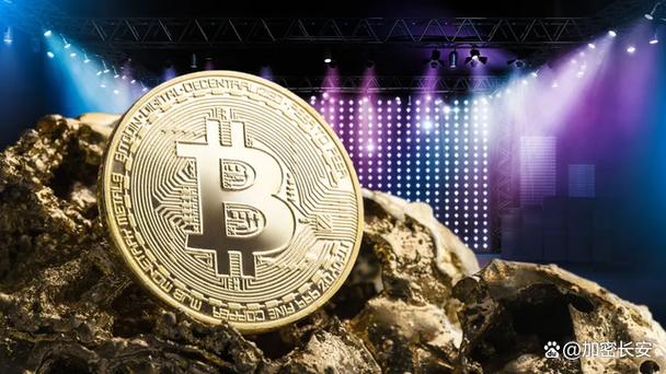 Bitcoin mining rigs running at a European hosting facility with energy-efficient infrastructure